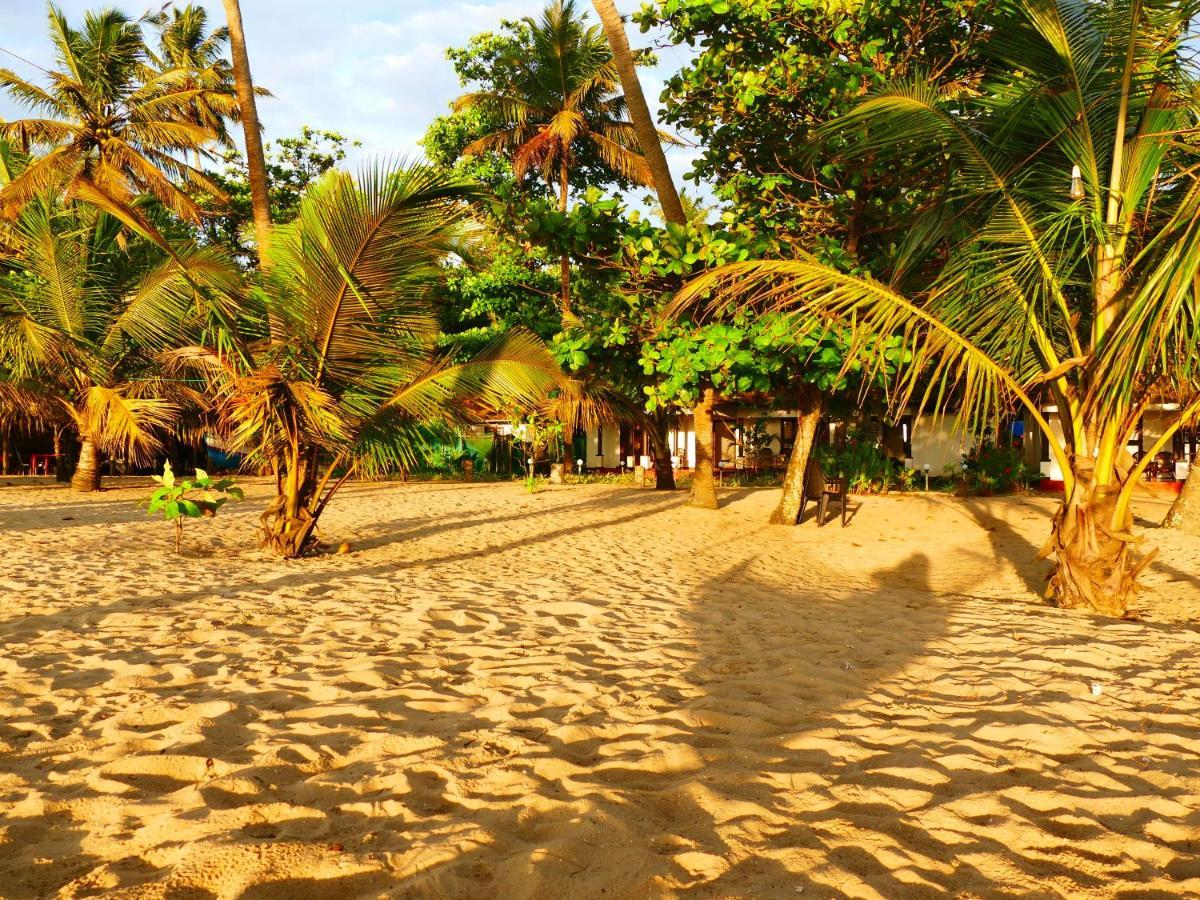 Marari Sealap Beach Villas Mararikulam Extérieur photo